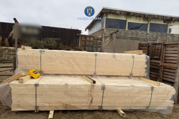 apel prin serviciul 112 iata ce au descoperit politistii intr o curte din vama veche s a deschis dosar penal 697dd07a37855