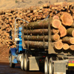 aplicatia sumal a fost actualizata pentru a opri furtul de lemn ministra diana buzoianu anunta ce obligatii vor avea transportatorii 6973b6e80ff3d