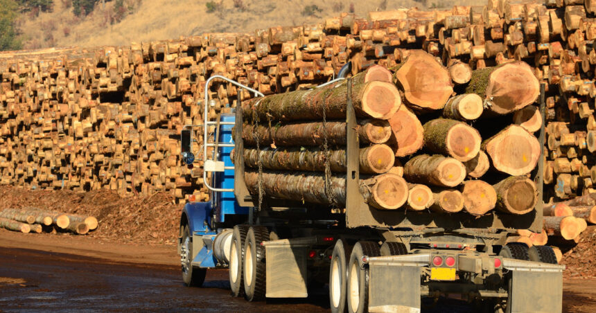 aplicatia sumal a fost actualizata pentru a opri furtul de lemn ministra diana buzoianu anunta ce obligatii vor avea transportatorii 6973b6e80ff3d