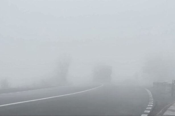 atentie soferi ceata si ghetus in medgidia ovidiu murfatlar cobadin cumpana si alte localitati vezi aici codul galben emis de meteorologi 69707acfc3c24
