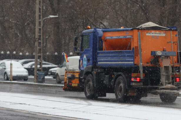 autoritatile locale din capitala intervin pentru deszapezire pompierii au indepartat patru copaci doborati de vant 696021a1337fe
