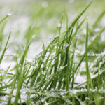 axiopolis cernavoda si a anulat amicalul de sambata din cauza conditiilor meteo nefavorabile 697d016c378bc