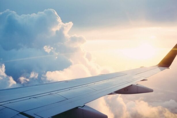 bagaj gratuit si compensatii mai simple ce schimbari pregateste ue pentru zboruri 6971fd4a36088