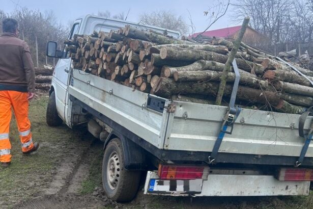 barbat din macin prins de politisti cu o camioneta plina de lemne fara documente 695f8c20349aa
