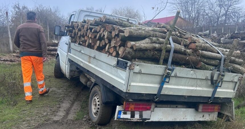 barbat din macin prins de politisti cu o camioneta plina de lemne fara documente 695f8c20349aa