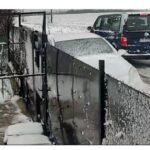 barbatul care a abandonat un caine in ger la marginea localitatii 23 august a fost identificat si amendat 6962283516cf9