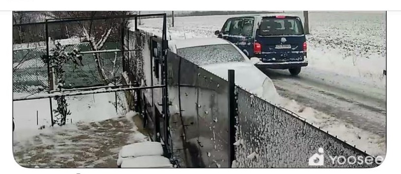 barbatul care a abandonat un caine in ger la marginea localitatii 23 august a fost identificat si amendat 6962283516cf9