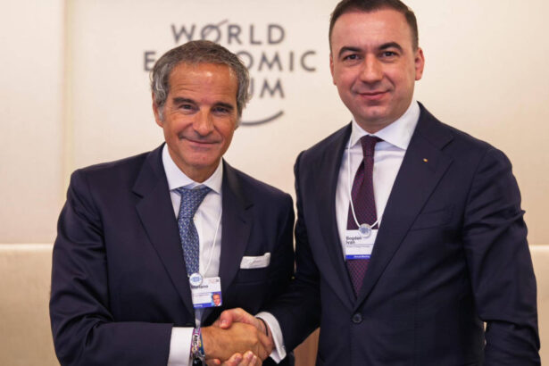 bogdan ivan discutii cu seful aiea la davos mesajul ministrului energiei energia nucleara nu este o dezbatere teoretica 69711e73a73ba