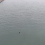 cautarile continua in cazul minorei din movilita exista o filmare de la podul agigea 6974dfc21631b