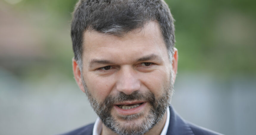 cazul padurii de la baile felix solutiile fostului sef al garzii de mediu pentru stoparea furtului de lemn 6977e023758fb