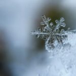 ce masuri sunt obligati sa ia angajatorii cand temperaturile scad sub 20 de grade 69707e025ddae