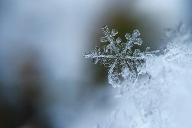 ce masuri sunt obligati sa ia angajatorii cand temperaturile scad sub 20 de grade 69707e025ddae