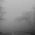 cod galben de ceata in mai multe localitati din judetul constanta 695cdae15a85c