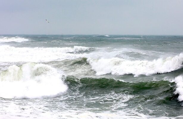 cod galben de vant puternic la malul marii meteorologii au emis doua avertizari pentru constanta si tulcea 695a427a5b92e