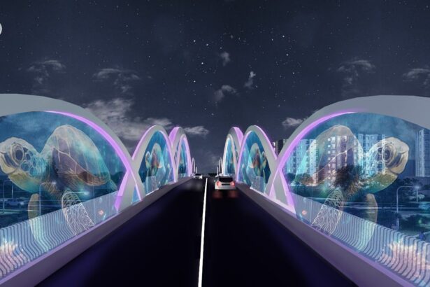 construirea pasajului rutier suprateran aurel vlaicu tomis ar putea incepe in primavara 6961c1f1f2c86