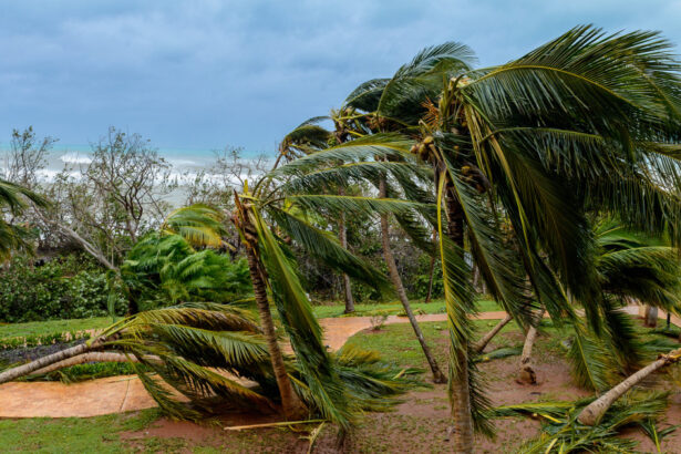cuba acuza sua de manipulare politica dupa trimiterea ajutorului pentru uraganul melissa 69693c7b3413a