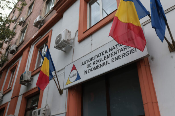 curtea de apel bucuresti judeca azi cererea de suspendare a reorganizarii anre ce a decis intr o cauza similara 6971cae6c03f1