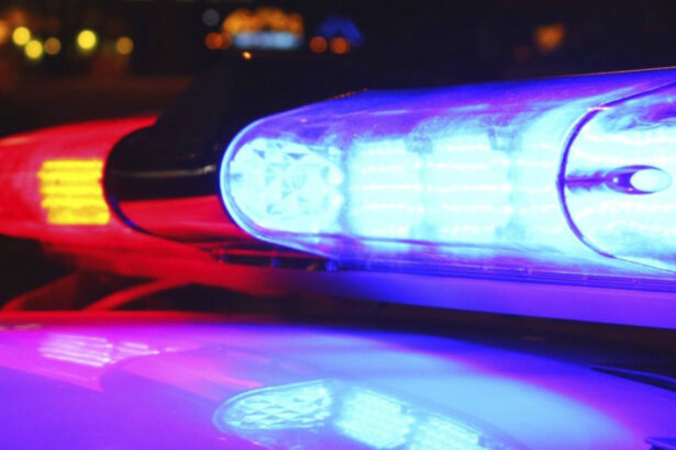 descoperire macabra intr un apartament din timisoara barbat decapitat cu o ghilotina improvizata politia a gasit doua bilete de adio 696e5f54103c1