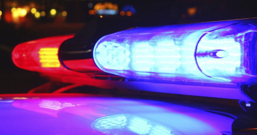 descoperire macabra intr un apartament din timisoara barbat decapitat cu o ghilotina improvizata politia a gasit doua bilete de adio 696e5f54103c1