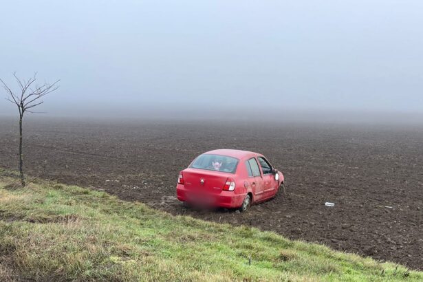 din ce cauza s a produs accidentul de pe dn 22 la limita judetelor tulcea si constanta 695a93975dbb1