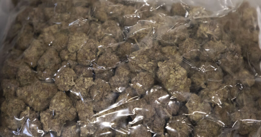 doi barbati sunt cercetati de diicot pentru trafic de droguri dupa ce au fost prinsi in flagrant cu 35 kilograme de canabis 6957ac0a6bb9b