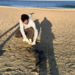 doi delfini au fost gasiti decedati pe plajele litoralului romanesc in primele zile ale anului 695eb5960f203