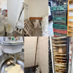 dsvsa constanta a suspendat activitatea la mai multe brutarii ce nereguli au gasit inspectorii 697859434b055