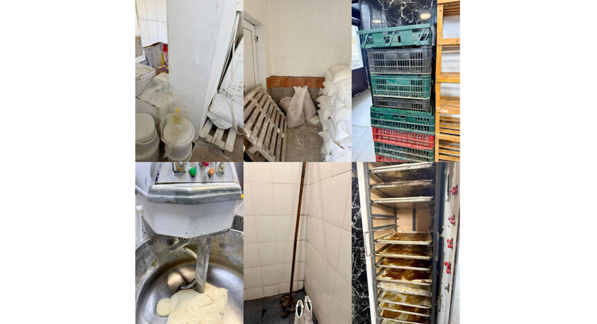 dsvsa constanta a suspendat activitatea la mai multe brutarii ce nereguli au gasit inspectorii 697859434b055
