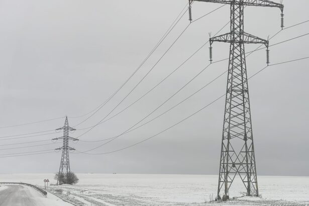 ei sunt tinerii implicati in teribilul accident rutier de la oltina unde o sanie a fost lovita de un autoturism iata cine e soferul 6965fca951134