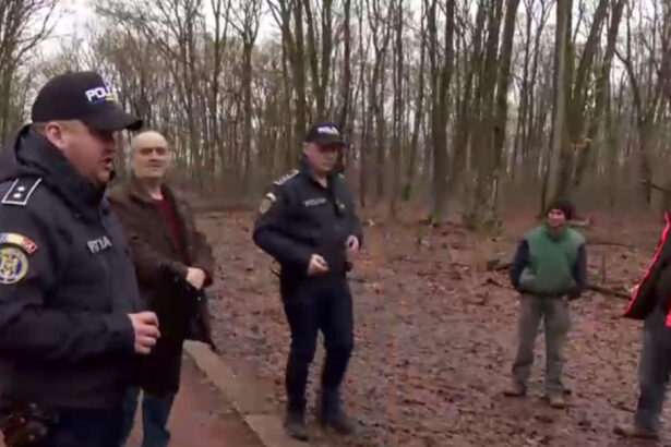 exclusiv ancheta scoate la iveala noi nereguli in padurea de la baile felix sunt mai multi arbori taiati ilegal decat in plangerea penala 697a5ffa74d1c