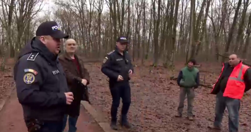 exclusiv ancheta scoate la iveala noi nereguli in padurea de la baile felix sunt mai multi arbori taiati ilegal decat in plangerea penala 697a5ffa74d1c