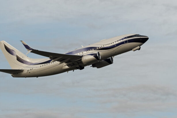 exclusiv cum ar trebui sa arate un avion prezidential achizitionat de romania dupa un zbor lung demnitarul trebuie sa reprezinte tara 6967abb277487
