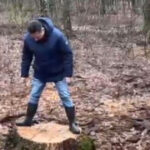 exclusiv ministrul mediului anunta ca au fost deschise doua dosare penale dupa taieri ilegale de arbori la baile felix este infractiune 697bb88299836