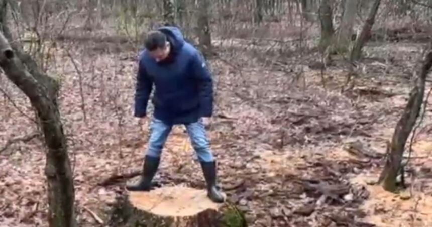 exclusiv ministrul mediului anunta ca au fost deschise doua dosare penale dupa taieri ilegale de arbori la baile felix este infractiune 697bb88299836