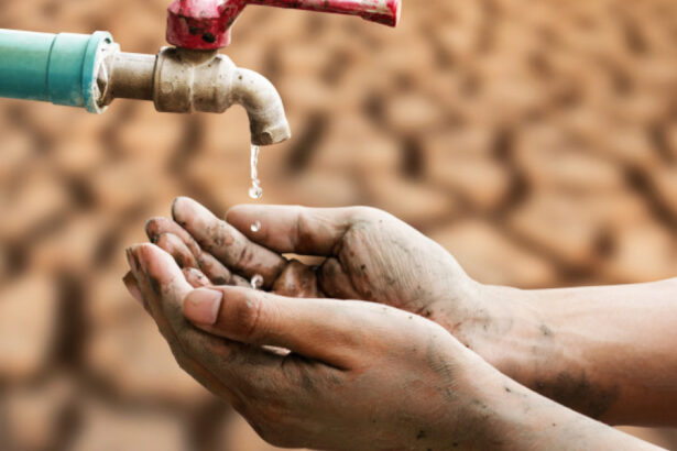 faliment global al apei onu avertizeaza ca lumea a ajuns la un punct fara intoarcere 696ff7224afcc