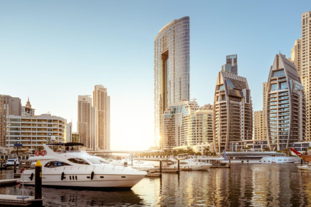 femeie din sibiu suspectata ca si a ucis mama cu sedative i a vandut bunurile si s a mutat in dubai ea a contestat arestul preventiv 695faa15dd2cf