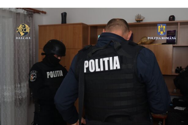 flagrant la lumina ce au descoperit mascatii de la diicot in lenjeria intima a unui albanez condamnari cu executare la tribunalul constanta 6958923b234ca