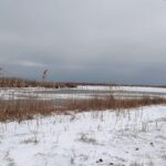 foto au inghetat lacurile si canalele din rezervatia biosferei delta dunarii conducatorii de ambarcatiuni avertizati 696e6ef977d4a