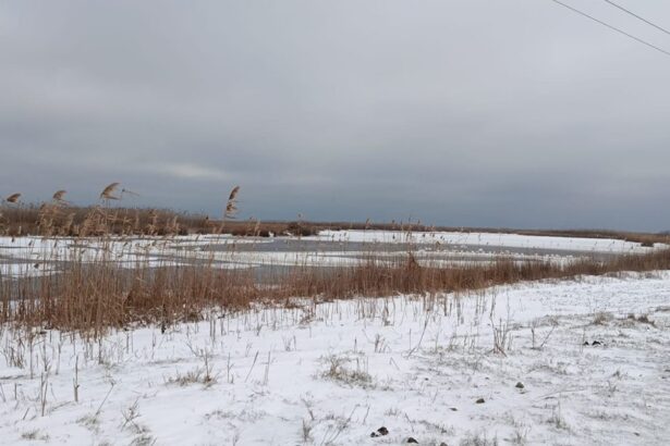 foto au inghetat lacurile si canalele din rezervatia biosferei delta dunarii conducatorii de ambarcatiuni avertizati 696e6ef977d4a
