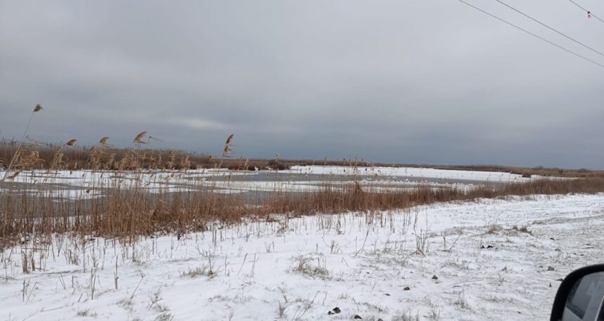 foto au inghetat lacurile si canalele din rezervatia biosferei delta dunarii conducatorii de ambarcatiuni avertizati 696e6ef977d4a