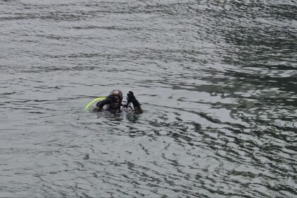 foto cautarile in canalul dunare marea neagra in zona podului agigea au fost oprite scafandrii au folosit o drona subacvatica 69761c3f7ce93