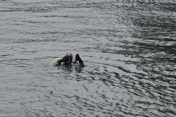 foto cautarile in canalul dunare marea neagra in zona podului agigea au fost oprite scafandrii au folosit o drona subacvatica 69761c3f7ce93