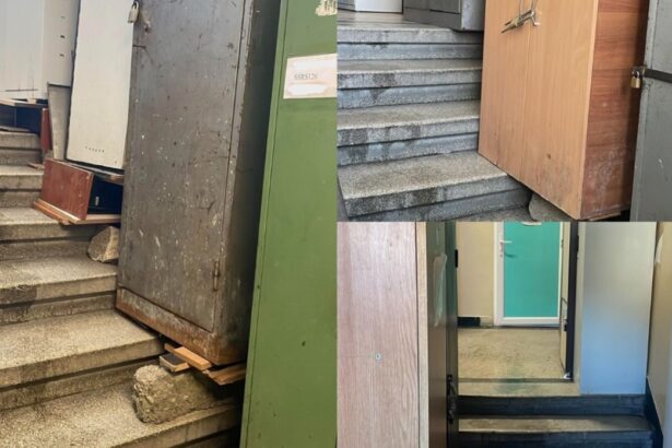 foto imagini incredibile fisete proptite pe scari cu bolovani caramizi si surcele la politia rutiera ce spun reprezentantii europol 69652670d9c29