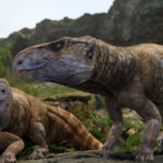 foto prezenta dinozaurilor cu coarne in europa contestata de peste un secol a fost confirmata cu ajutorul unor descoperiri din romania 696494c363262