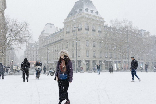 franta puternic afectata de ninsori si polei transportul in comun traficul rutier si zborurile aeriene sunt serios bulversate 695e23dbeb308
