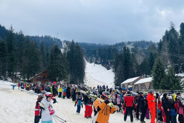 furt spectaculos doi romani prinsi de politie in timp ce trageau un seif pe partia de schi 695bdddd1decc