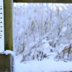 ger puternic in noaptea de joi spre vineri recomandarile igsu 695fded0abdfb