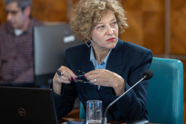 guvernul vrea curatenie in politica de proprietate a statului gheorghiu circa 185 de companii sunt inactive unele sunt doar cladiri 6964d2dbb79c4