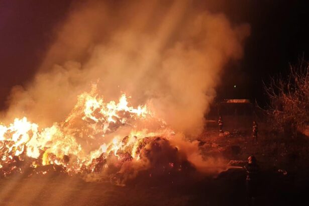 individul retinut dupa ce a incendiat peste 3000 de baloti de paie recidivist cu acte n regula a bifat si o evadare 695d8a86a7f85