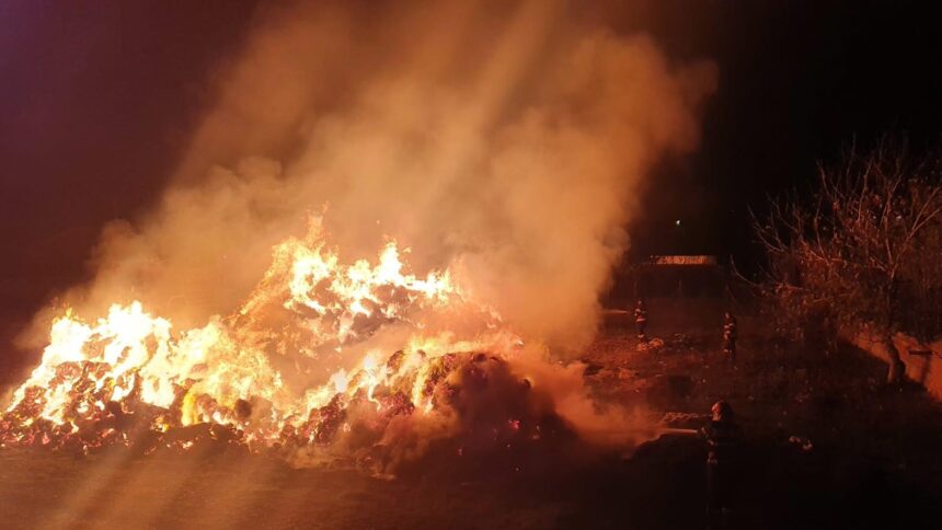 individul retinut dupa ce a incendiat peste 3000 de baloti de paie recidivist cu acte n regula a bifat si o evadare 695d8a86a7f85